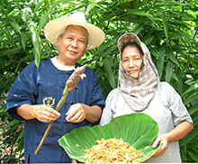 チェンライ農家