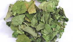 バイプラオヤイ