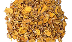 カミンオイ・ガジュツ