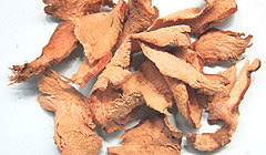 カー・ナンキョウ