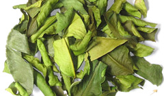 バイマクルー・コブミカンの葉