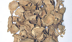 ワーンチャックモッルーク・クスリウコン