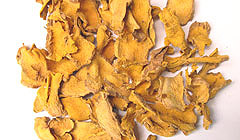 プライ ポンツクショウガ